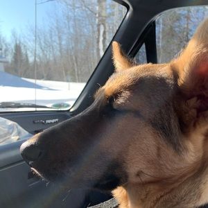 Meet your Posher, Carly